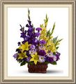 Invisions Floral Designs And Accessories, 816 W Highland Ave, Albany, GA 31701, (229)_420-1638